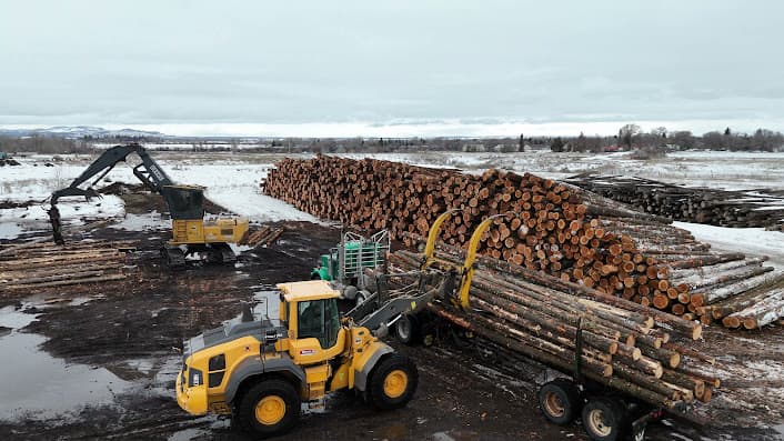 Log pile